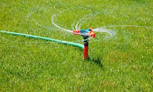 Sprinkler in the yard