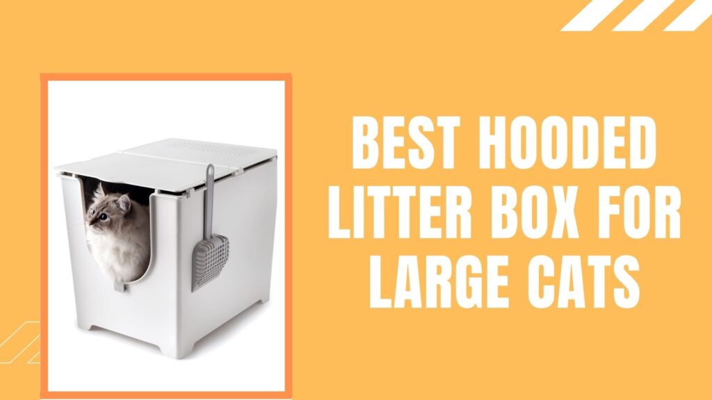 Extra Large Litter Box With Hood