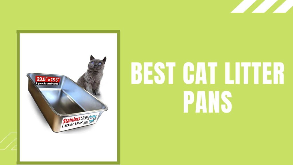 best cat litter pans