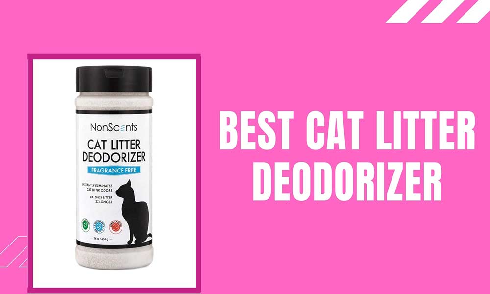 Best Cat Litter Deodorizer