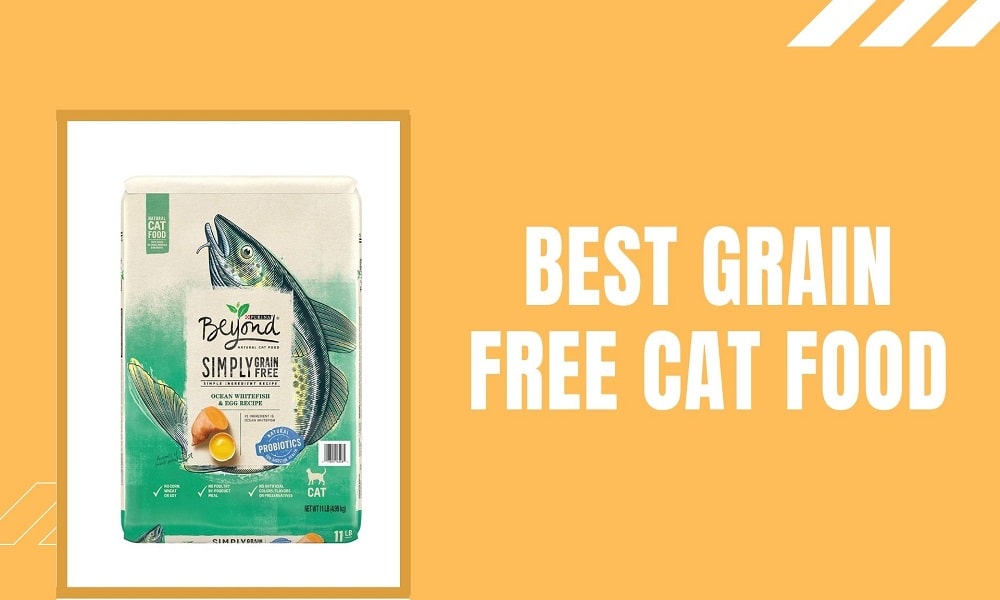 Best Grain Free Cat Food