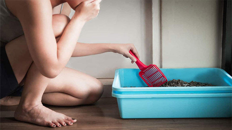 Is Cat Litter Dust Harmful To Humans?