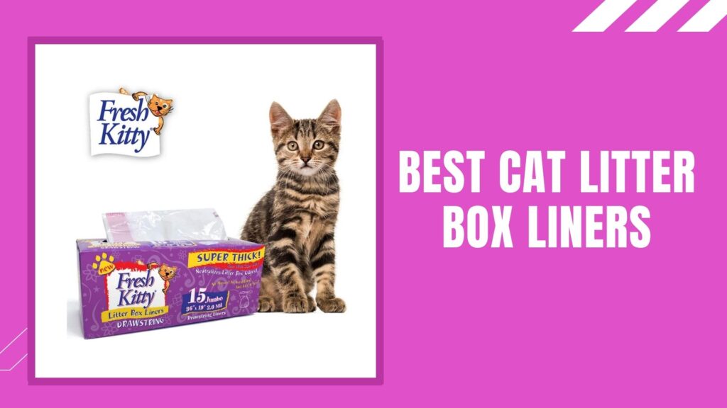 Best Cat Litter Box Liners