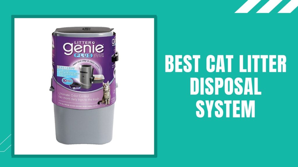 Best Cat Litter Disposal System