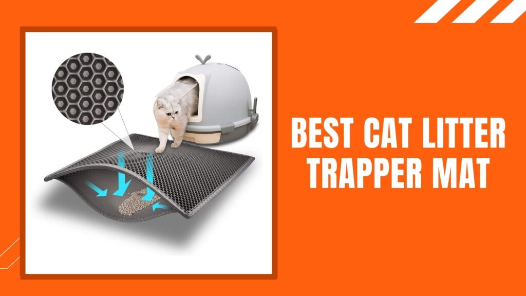 Best Cat Litter Trapper Mat
