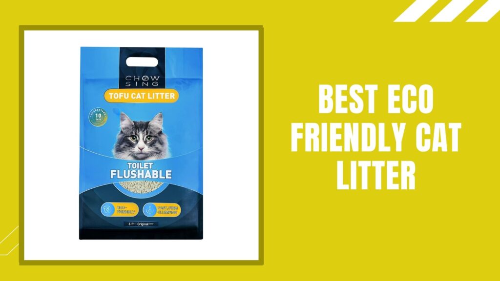 Best Eco Friendly Cat Litter