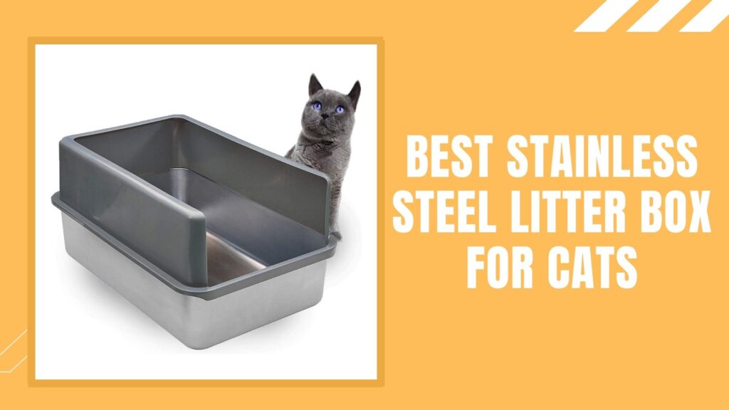 Best Stainless Steel Litter Box For Cats