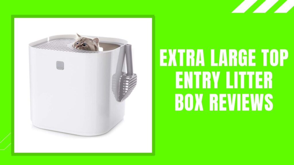 Extra Large Top Entry Litter Box Reviews