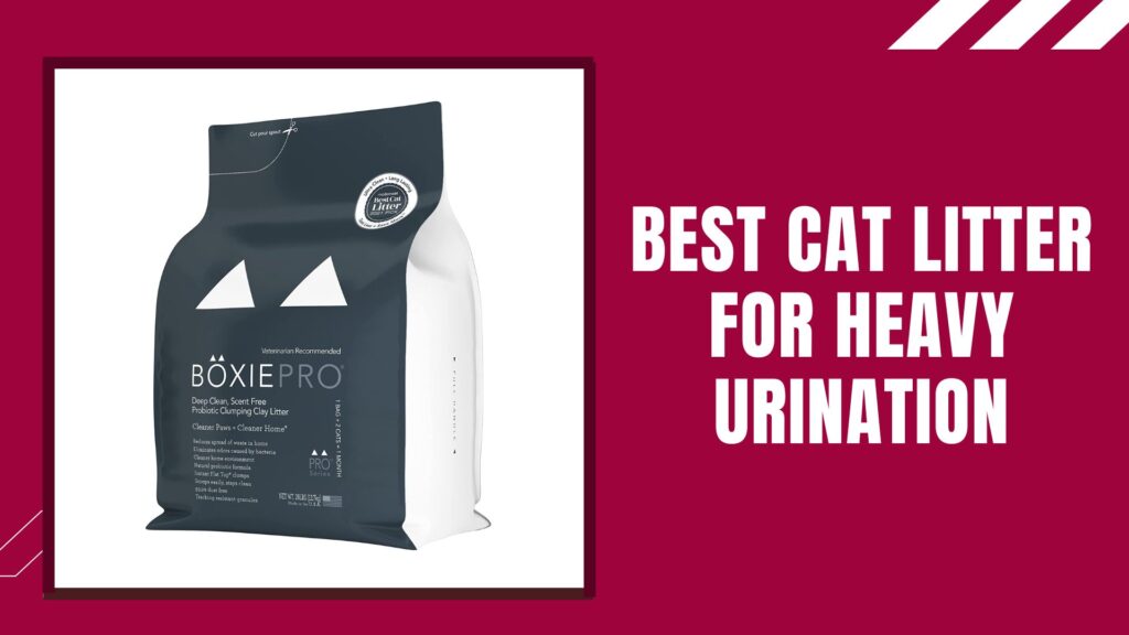Best Cat Litter For Heavy Urination