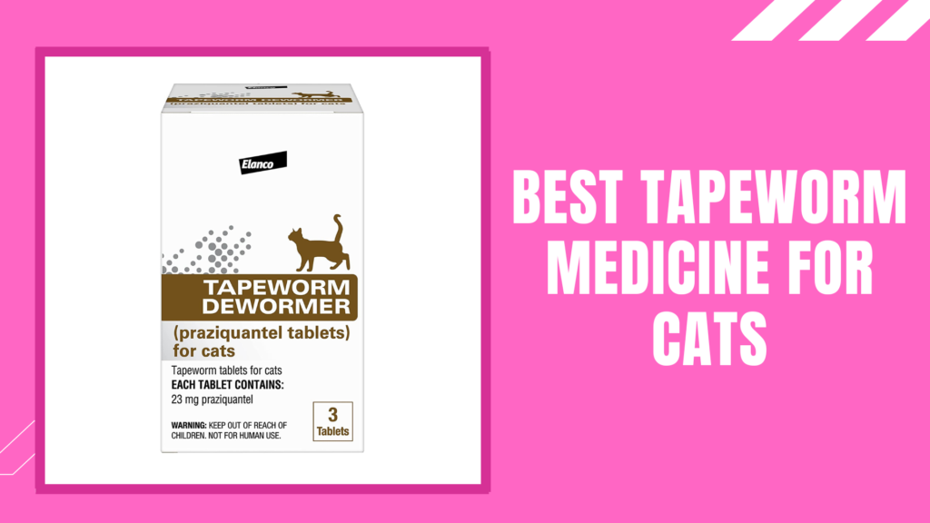 Best TapeWorm Medicine For Cats