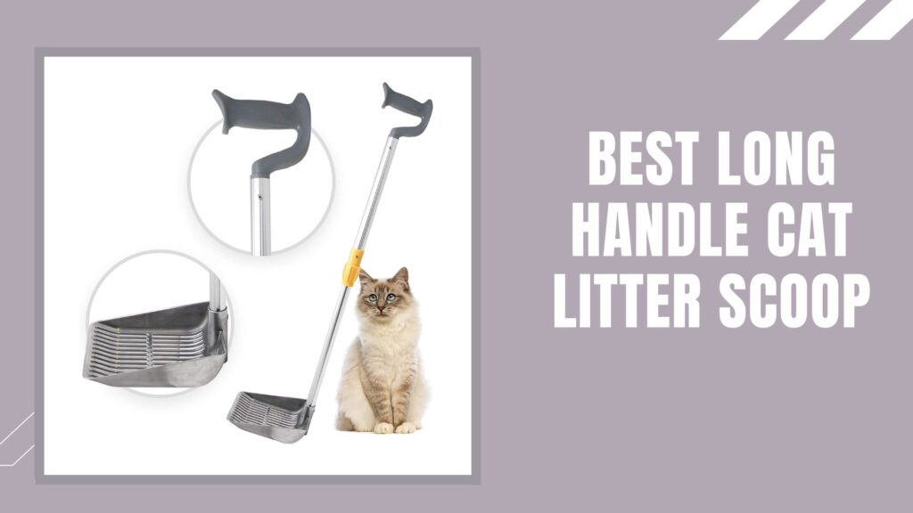 Best Long Handle Cat Litter Scoop